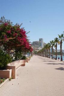 Explanada Hotel Alicante Extérieur photo
